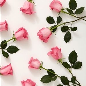 Meet your Posher, Kelda